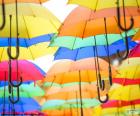 The umbrella is an object for protect yourself from the rain and a complement of fashion, there are many patterns and colors