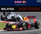 Max Verstappen, second in the Malaysian Grand Prix 2016 with its Red Bull, the fifth podium of his career in F1