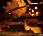 Pumpkin and leaves dry