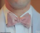 Bow tie red stripes