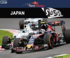 Carlos Sainz, Jr., during his participation in the 2016 Japanese Grand Prix, with his Toro Rosso