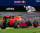 Max Verstappen, second in the 2016 Japanese Grand Prix with its Red Bull, getting the sixth podium of his career in F1