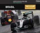 Nico Rosberg, 2016 Brazilian Grand Prix