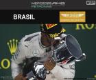 Lewis Hamilton, 2016 Brazilian GP