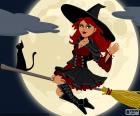 Witch on broom