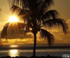 Nice sunset on the sea, view from the coast behind a Palm tree