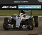 Lewis Hamilton get his tenth victory of the season in 2016 Abu Dhabi GP. Second-placed Championship