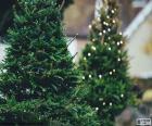 Two Christmas trees decorated with small white lights