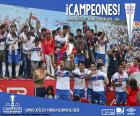 Universidad Católica, champion 2016