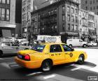 Taxicabs of New York City