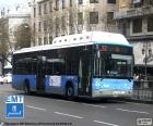 Urban buses of Madrid