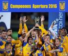 Tigres UANL, champion of the Apertura tournament of Mexico 2016