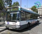 Urban buses of of Paris