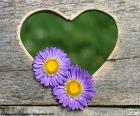 A heart cut into wood and two beautiful purple flowers for Valentine's day