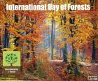 International Day of Forests