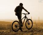 Mountain bike rider