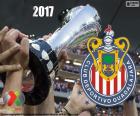 Club Deportivo Guadalajara, known as Chivas, is the champion of the tournament Clausura 2017, of League MX its twelfth title