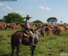 Gaucho on horseback