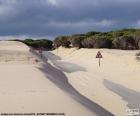 The dunes invade the road, completely covered by sand