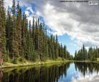 Beautiful photography of the Irene Lake in Douglas County, Minnesota, United States