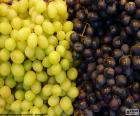 Grapes