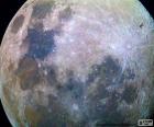 The Moon is the Earth's only natural satellite and the fifth largest of the Solar System