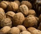 Walnuts in shell