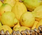 A basket full of lemons. Lemons contain nutrients and vitamins very beneficial for our body