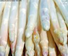 White asparagus, can you find them also canned