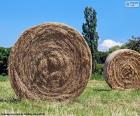 Round straw bales