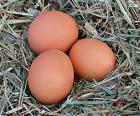 Three eggs