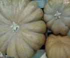 Three pumpkins