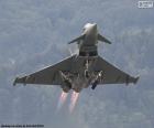 The Eurofighter Typhoon is a versatile, twin-engine and Highly maneuverable fighter