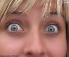 Face of a girl with beautiful eyes in grey