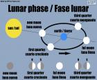 The lunar phase is the shape of the directly sunlit portion of the Moon as viewed from Earth. New Moon, first quarter, full moon and third quarter