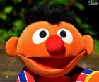 The face of the puppet Ernie of the television programme Sesame Street