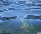 Image of the calm waters of a Lake