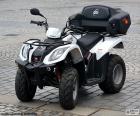 ATV or quad