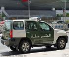 Dubai police car