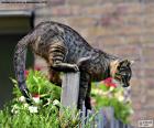 A uploaded cat on a fence ready to jump