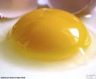 Egg yolk