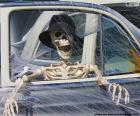 Skeleton inside a car, Halloween