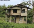 Old house in the forest