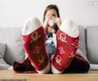 Socks with Christmas Reindeer