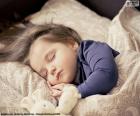 Sweet girl sleeping next to her teddy bear