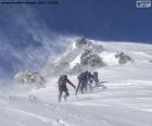 Five climbers