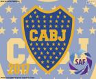 CA Boca Juniors is the champion of the Torneo de la Independencia, the championship of the first Division of Argentinian football in the 2016-2017 season