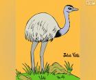 The rhea is a bird that can not fly, a species native to South America, similar to the ostrich and the emu. A drawing of Julieta Vitali