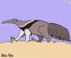 The Anteater is a solitary animal that feeds on ants and termites with their long tongue. A drawing of Julieta Vitali