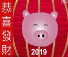 Year of the pig 2019